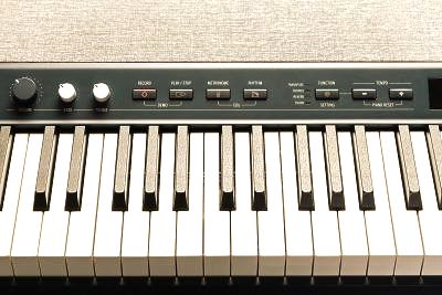Kurzweil Ka P1 Piano 4