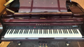 Used KURZWEIL Model 150
