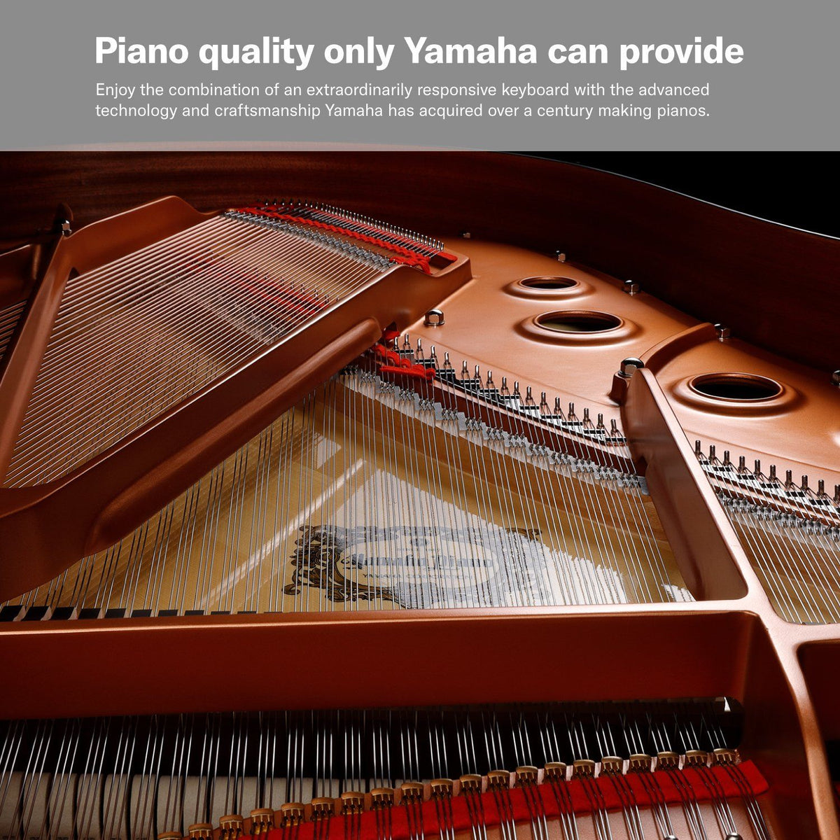Yamaha P225B 3