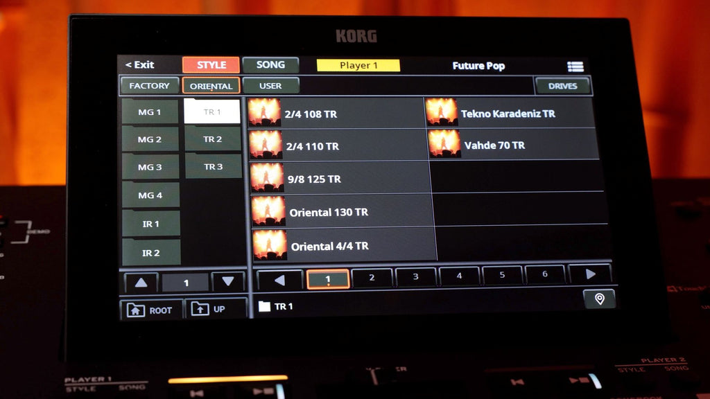 ALL NEW KORG PA5X ORIENTAL ARRANGER 4