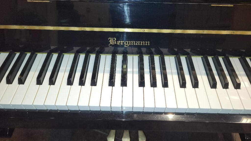 2009 BERGMANN CONSOLE 2