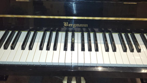 2009 BERGMANN CONSOLE 2