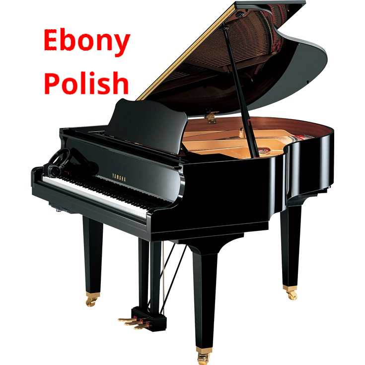 Yamaha GB1K SC3 Ebony Pol
