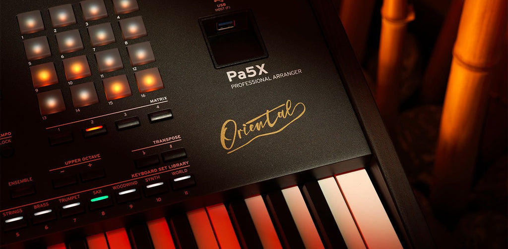 ALL NEW KORG PA5X ORIENTAL ARRANGER 2