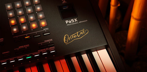 ALL NEW KORG PA5X ORIENTAL ARRANGER 2