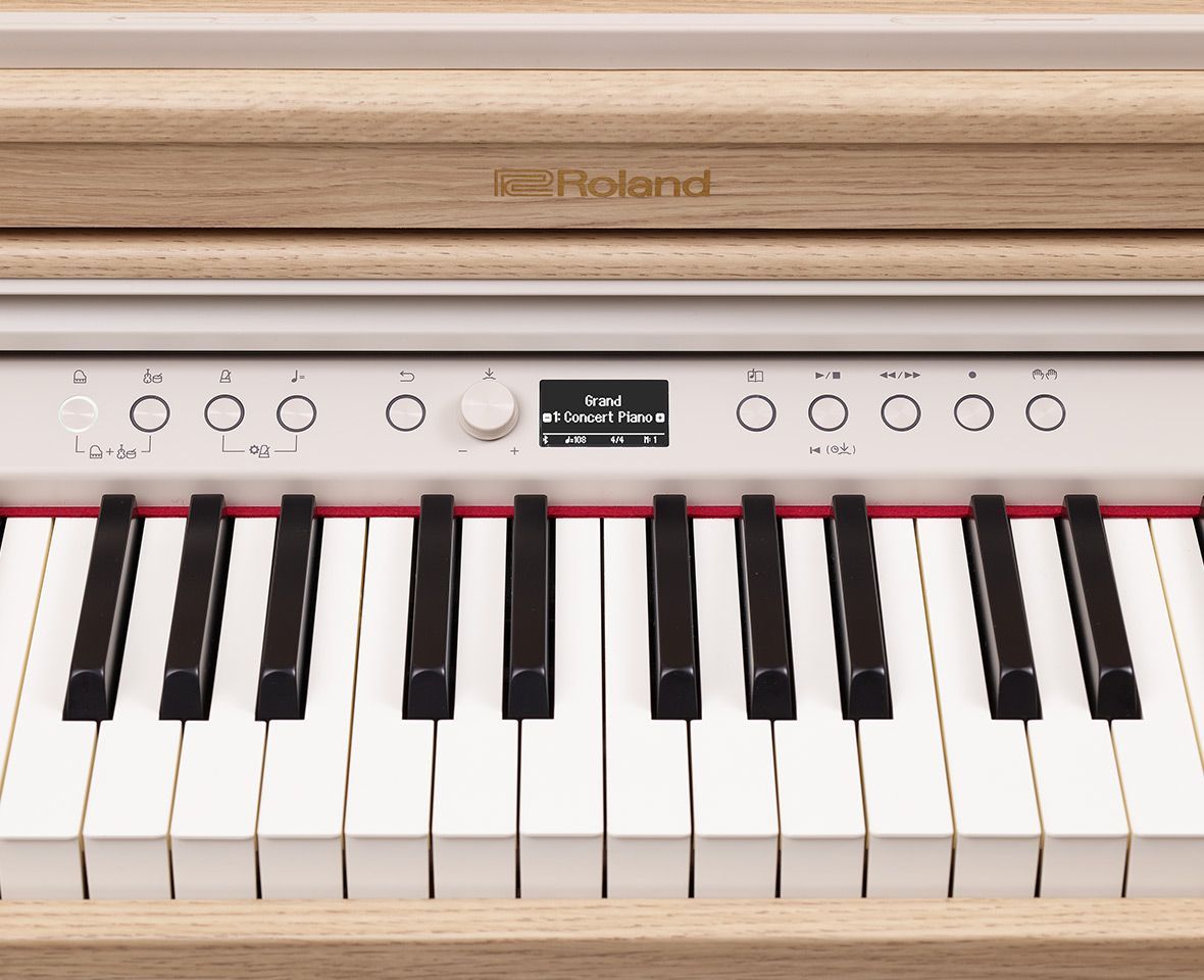 Roland RP701 6