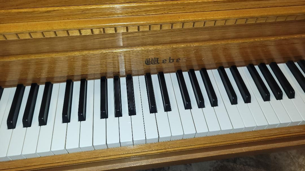 1996 Weber Console 2