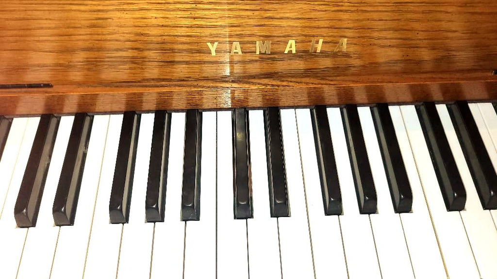 1994 Yamaha 2