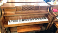 1970 Yamaha Walnut IP